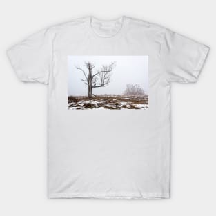 Lone Tree In Fog T-Shirt